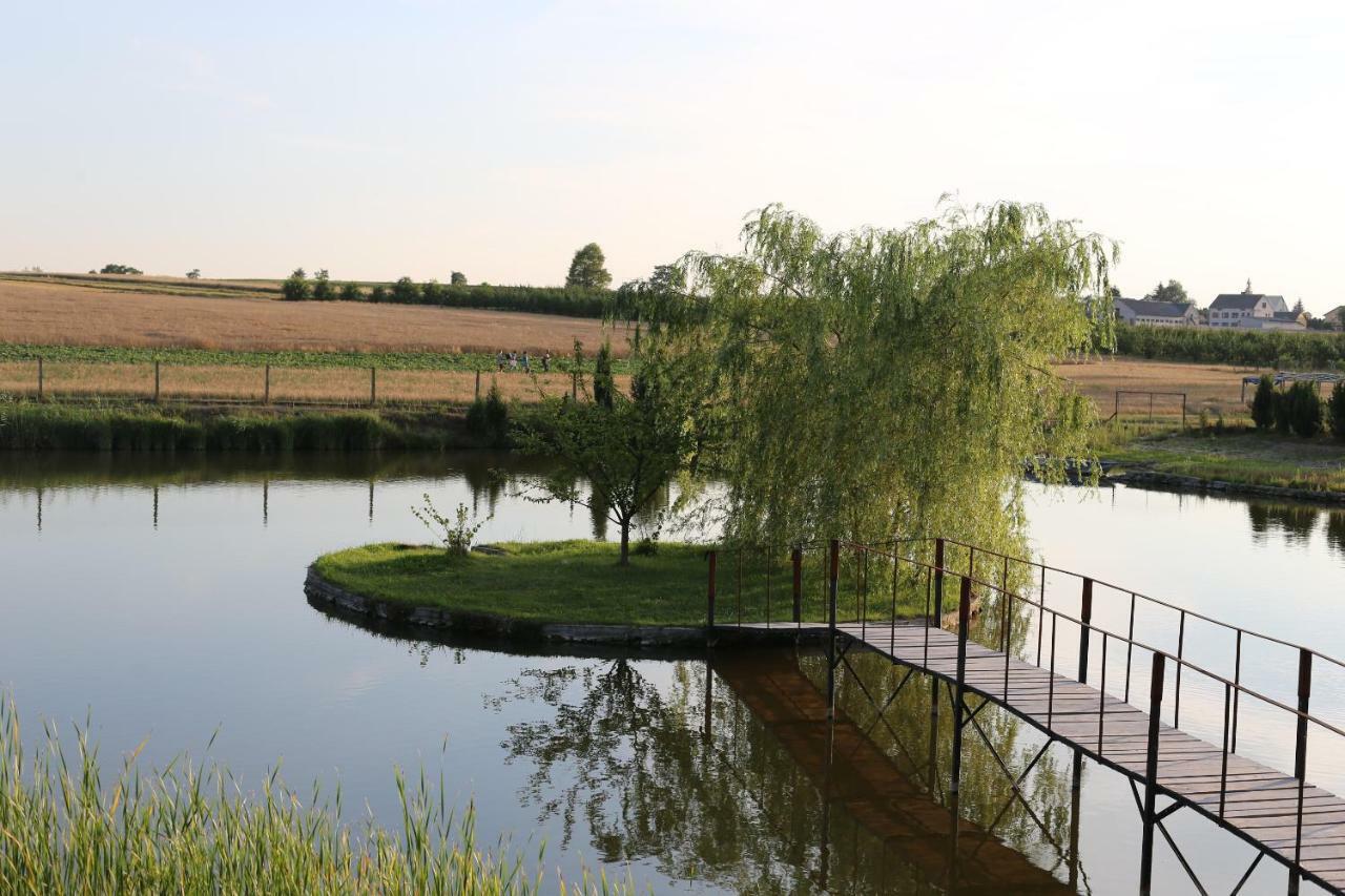 Agrowczasy Nad Stawem Villa Gartatowice Buitenkant foto