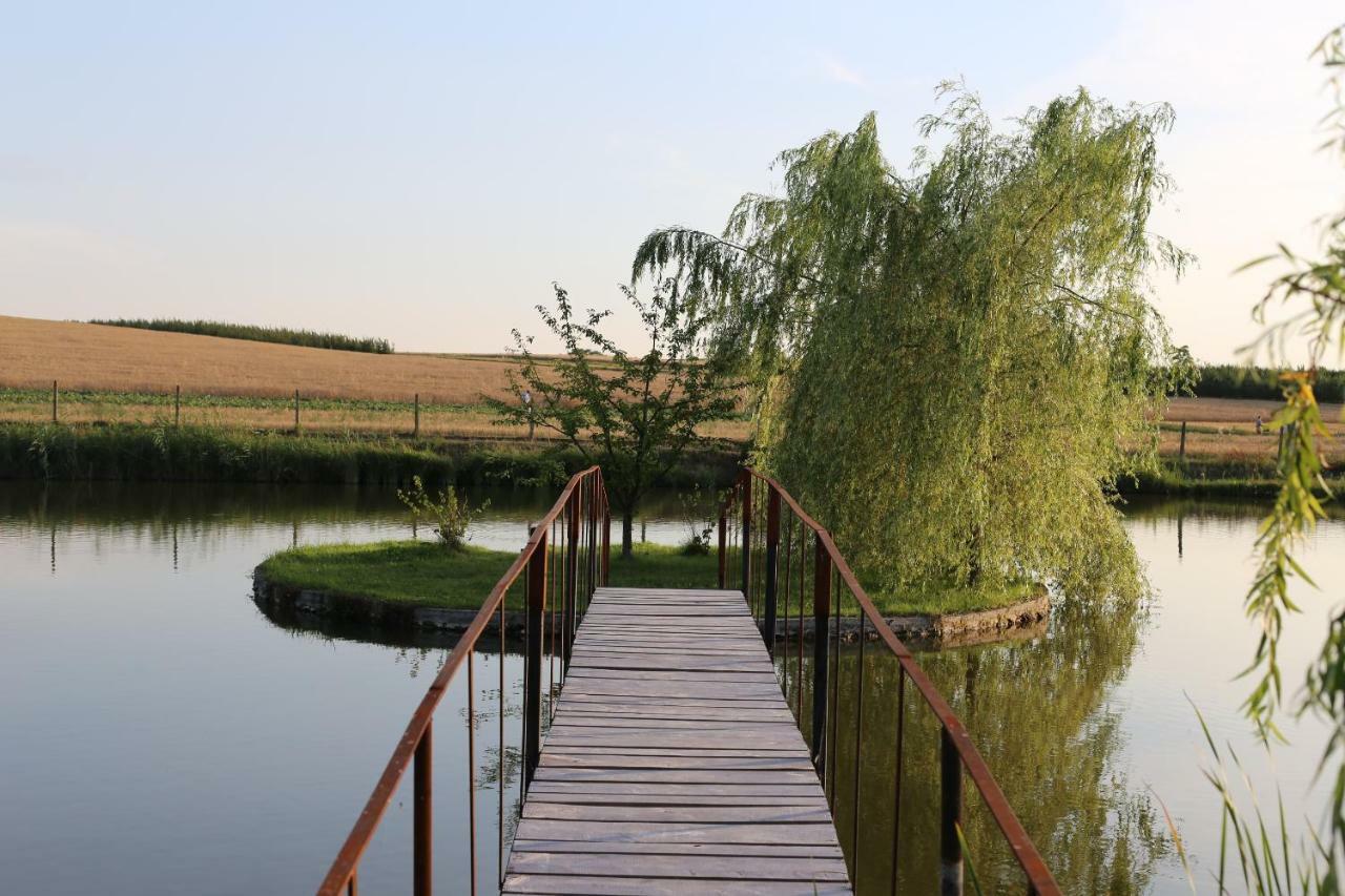 Agrowczasy Nad Stawem Villa Gartatowice Buitenkant foto