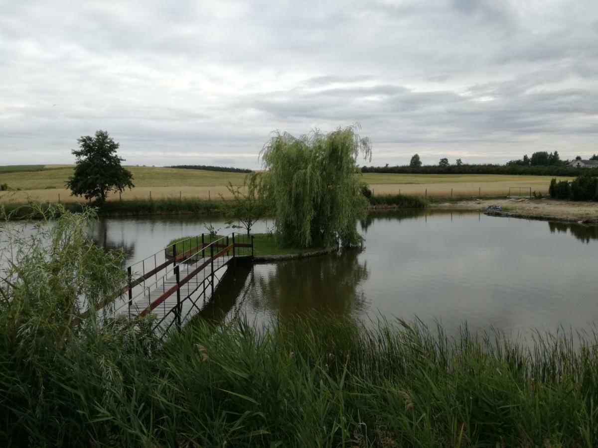 Agrowczasy Nad Stawem Villa Gartatowice Buitenkant foto