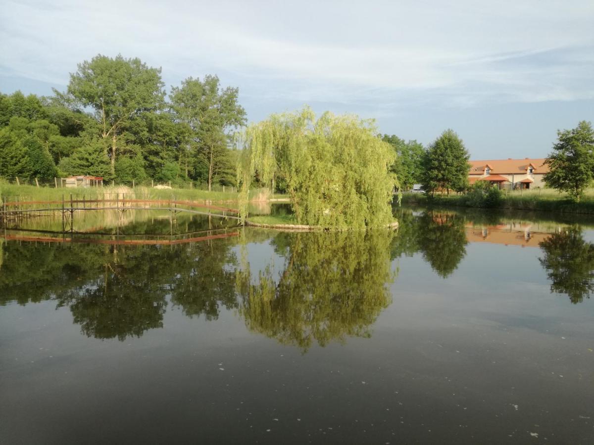 Agrowczasy Nad Stawem Villa Gartatowice Buitenkant foto